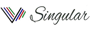 SINGULAR INTERNATIONAL LIMITED